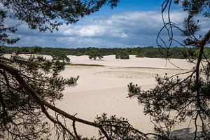 Blick auf die Soesterduinen