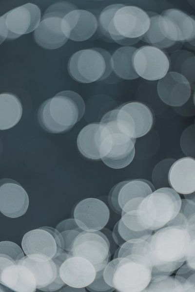 Dreamy Circles by Shot by Clint