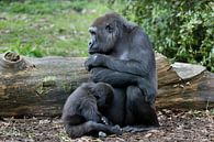 Gorillamoeder met jong van Ab Wubben thumbnail