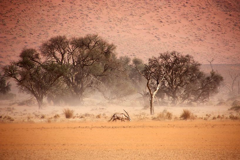 NAMIBIA ... through the storm II von Meleah Fotografie