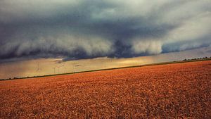 Incoming arcus van Goldeneyes