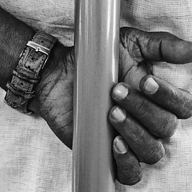 Giacomo Schmitz Profile picture