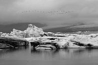 Jökulsárlón Glacier Lagoon met overvliegende zwanen van Anneke Hooijer thumbnail