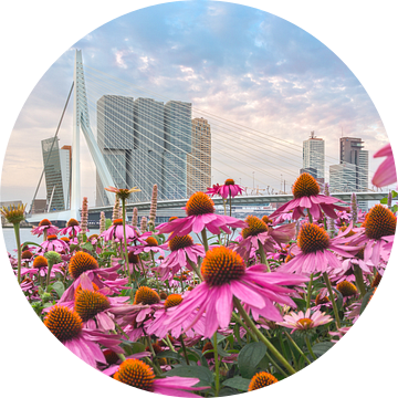 Fleurige bloemen voor de skyline van Rotterdam van Prachtig Rotterdam