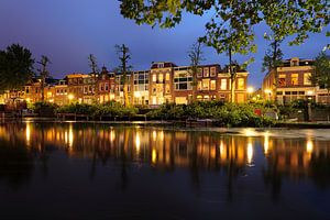 Bemuurde Weerd Oostzijde in Utrecht met kort gesnoeide bomen van Donker Utrecht