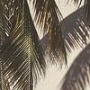 Palm leaves with matt effect by Dennis en Mariska