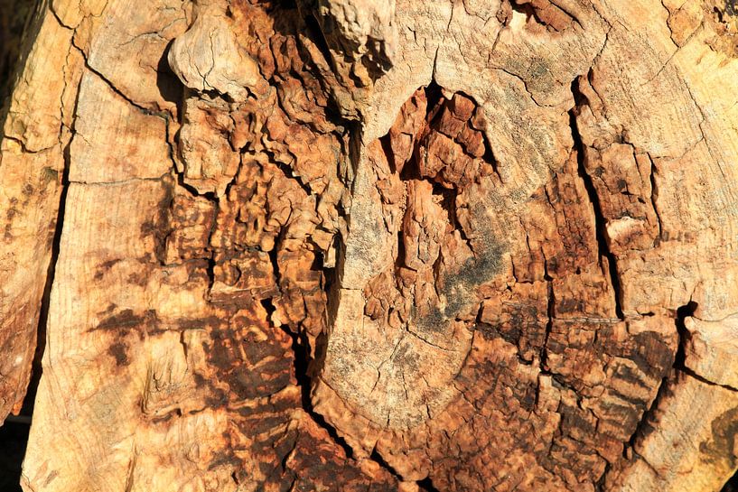 Log by Thomas Jäger