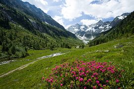 Alpen Uitzicht sur Martin Smit