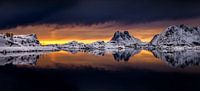 Steinefjorden panorama van Wojciech Kruczynski thumbnail