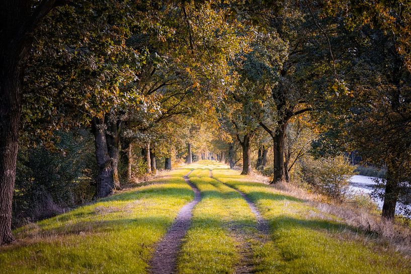 Automne Baardwijkse Overlaat par Zwoele Plaatjes