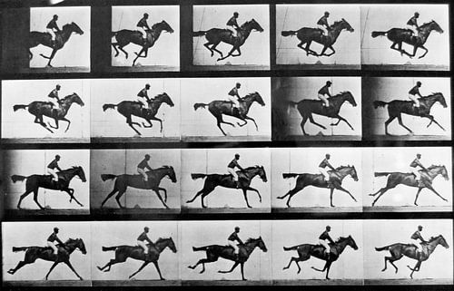 Pferd im Galopp mit Reiter von Atelier Liesjes