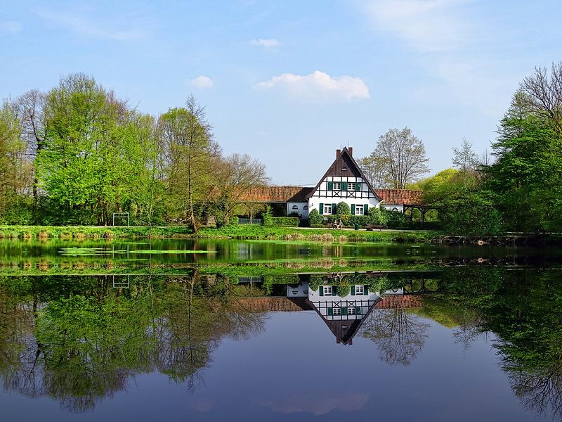 Stadtwaldpanorama van Edgar Schermaul