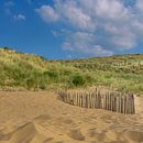 Strand und Dünen von Patrick Herzberg Miniaturansicht