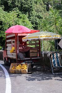 Citrons à vendre