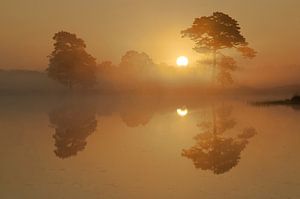 Gouden zonsopgang.