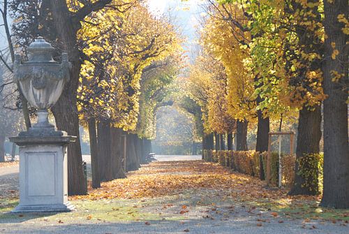 Allee im Herbst