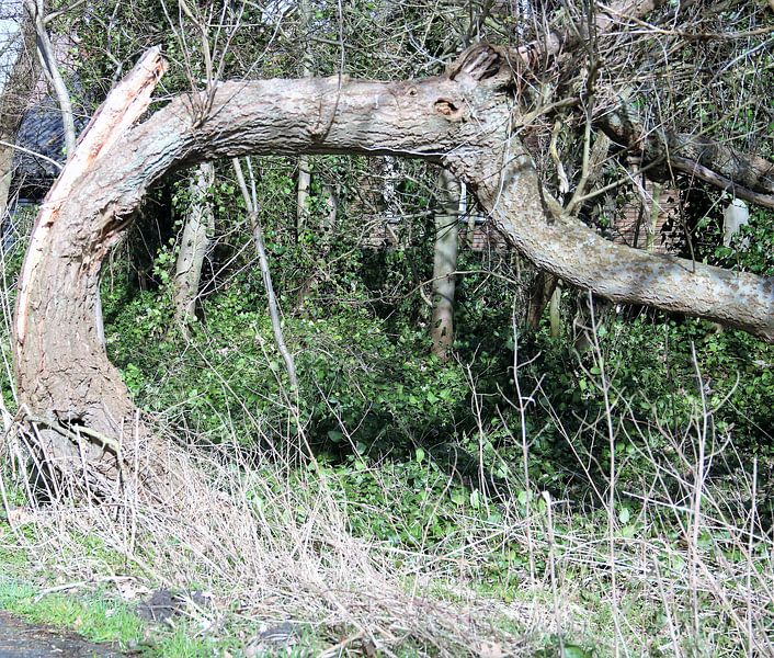 Geheime poort van Wendy Hilberath