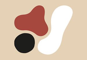 Shapes that Fit