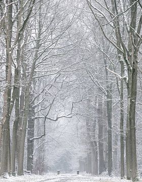 Winter in Nederland van Marloes ten Brinke