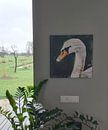 Customer photo: Swan portrait (looks to the left) by Art by Jeronimo