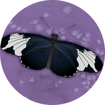 De heliconius  sapho vlinder  of passievlinder van Bianca Wisseloo