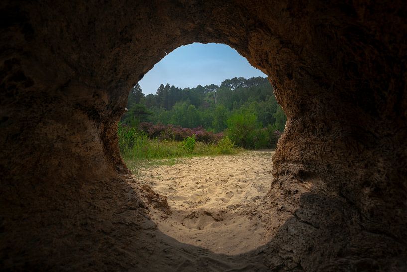 Aan het eind van de tunnel van Arno van der Poel