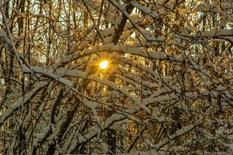 Winter Wunder land von Johnny Flash