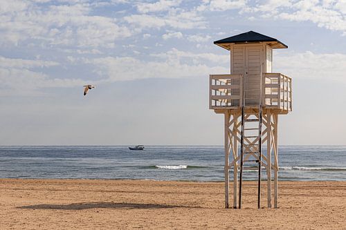 Beach guard post with bird and boat at sea by Enfocado Fotografia