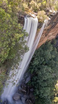 Fitzroy Falls by Pieter van der Zweep