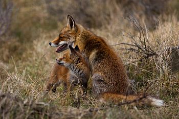 Mother and child