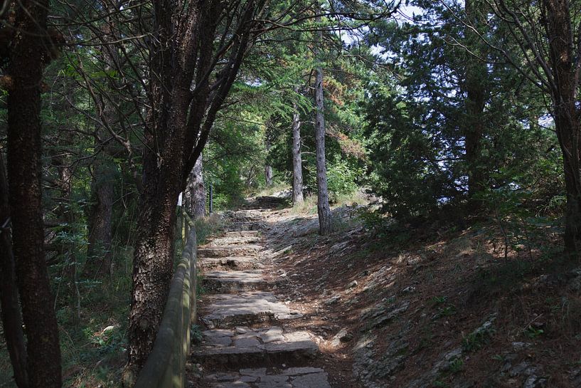 San Marino Forest by de-nue-pic