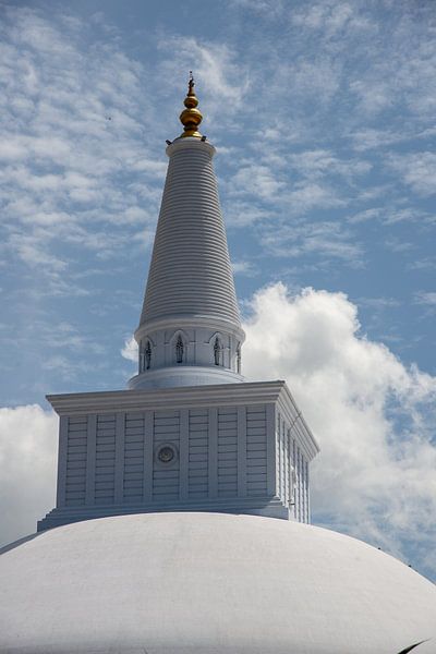 Stupa bouddhiste près d'Anuradhapura, Sri Lanka par Jan Fritz