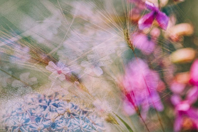 Collage flowers 1 by Esther Erkelens