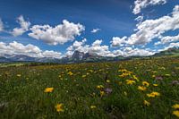 Die Seiser Alm