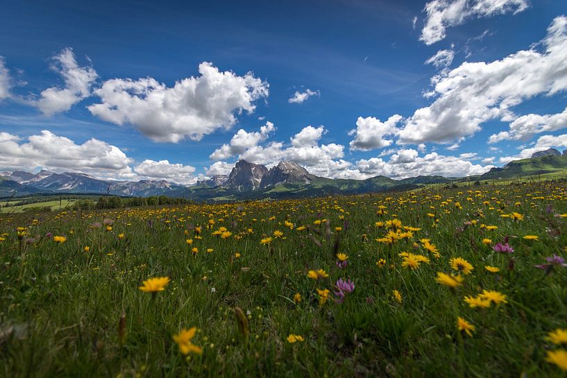 Le Seiser Alm par Nico  Calandra