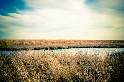 Engbertsdijksvenen (1)