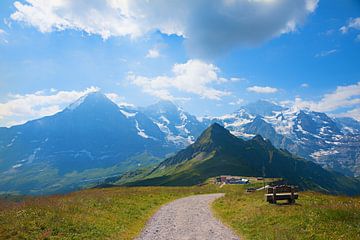 wandelpad Mannlichen berg alpenlandschap zwitserland van SusaZoom