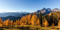 Mountain landscape "Bischofsmütze in Autumn" by Coen Weesjes thumbnail