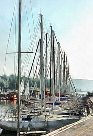 Mâts en rang sur Dorothy Berry-Lound