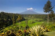 Ansichten des Mount Agung in Bali Indonesien von Willem Vernes Miniaturansicht