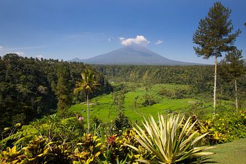 Uitzicht op de Mount Agung op Bali Indonesië van Willem Vernes