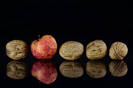 Apfel und Nüsse von Ulrike Leone