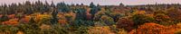 Herbstfarben Panorama