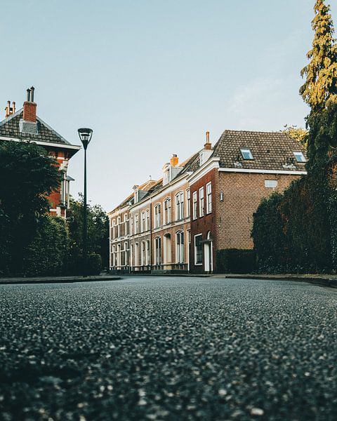 Schöne Straße in Haarlem von Sebastiaan van 't Hoog
