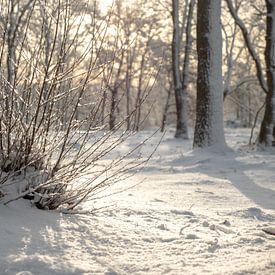 Bezaubernde Winterlandschaft: Schnee, Eis und malerische Bäume von Robin Jongerden