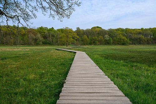 Beekdal Renkum