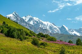 View of the Georgian glaciers and mountains