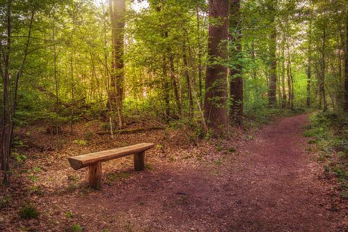 S'asseoir et se détendre