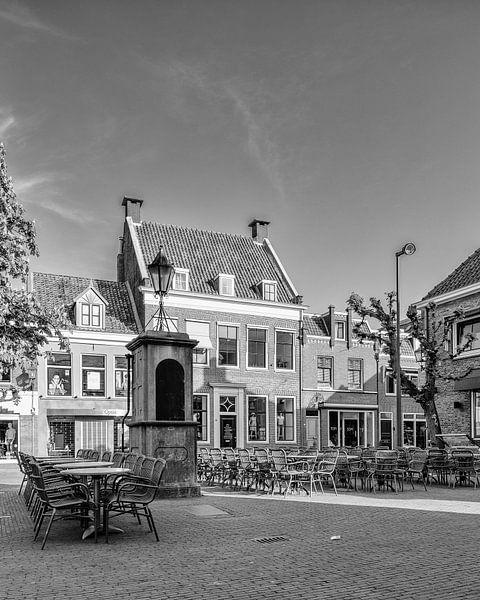 Waterpomp op De Plaats, IJsselstein van Tony Buijse