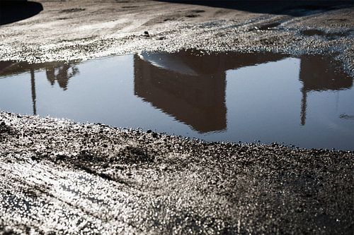Reflet dans un étang urbain